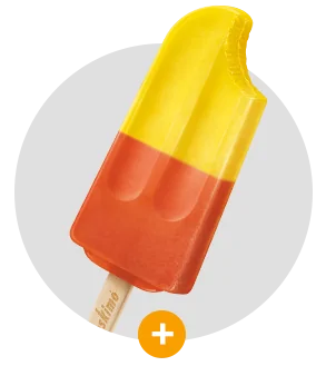 Mini saia1